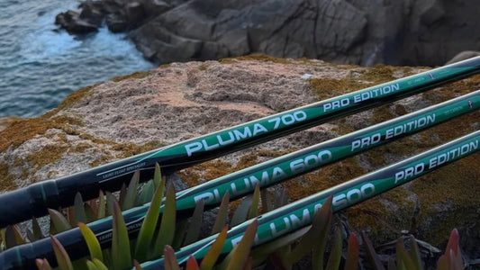 Barros Pluma Pro – Cana de Pesca à Bóia LEVE